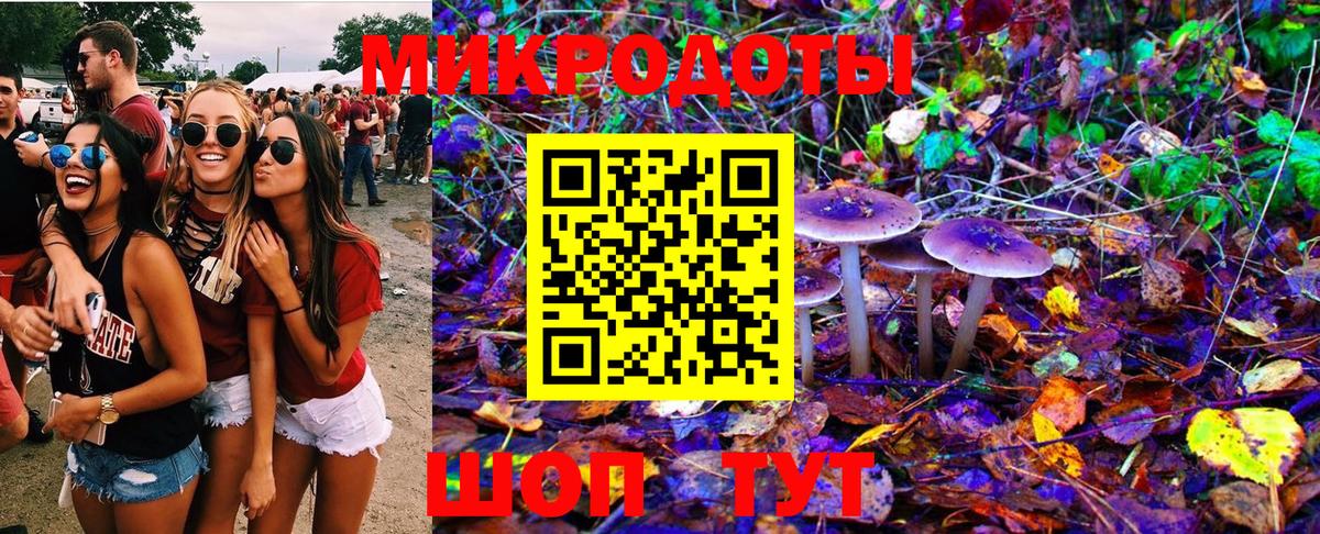 Чебоксары  Псилоцибиновые грибы MAGIC MUSHROOMS  Вход с VPN 